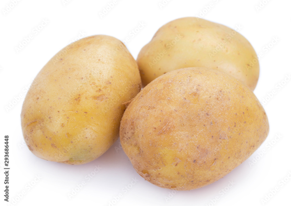 Raw potato on white background Raw potato on white background
