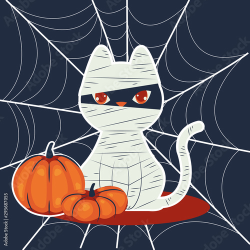 halloween cat disguised of mummy character