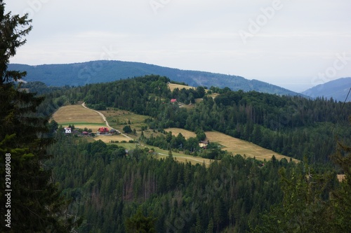 Landscape scenery in Silesian Beskids during summer. View from Big Stozek mountain to Small Stozek mountain in Poland near border with Czech republic. © 3dillustrations