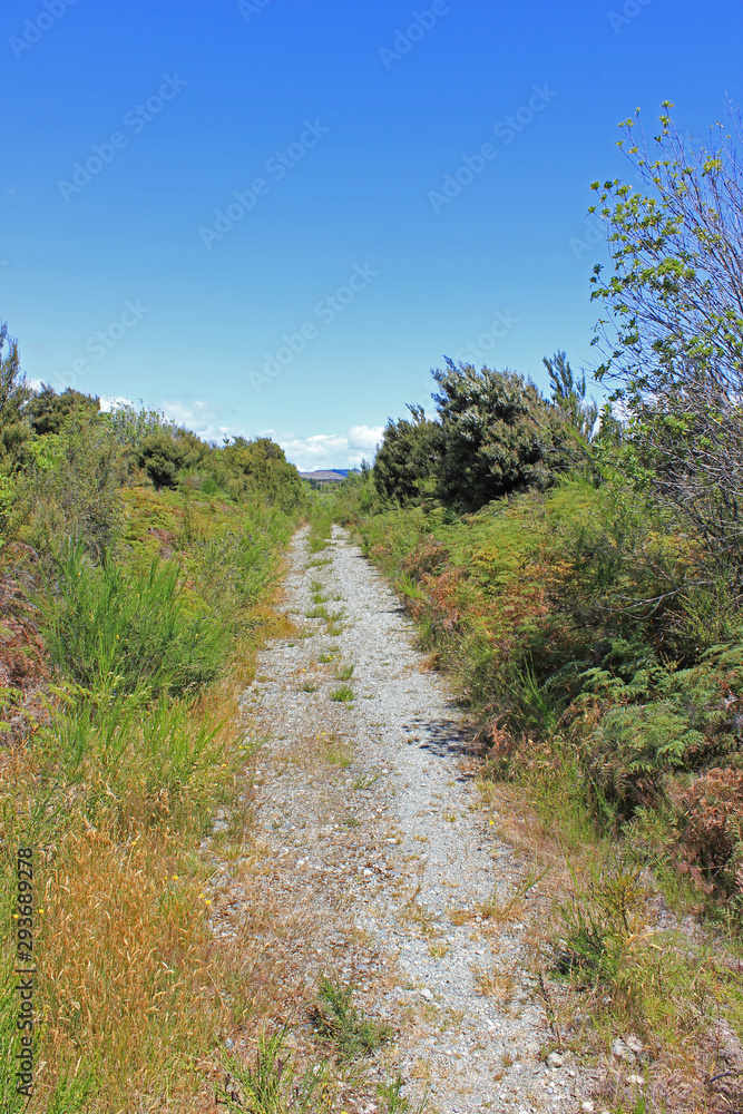 Trail between grassland on a sunny day