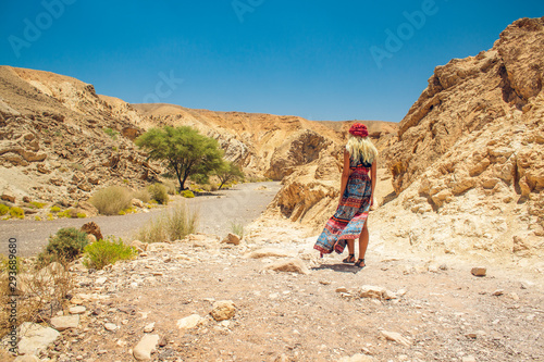 Caucasian sexy woman in colorful long dress back to camera in Middle East desert canyon rocky scenery landscape environment 