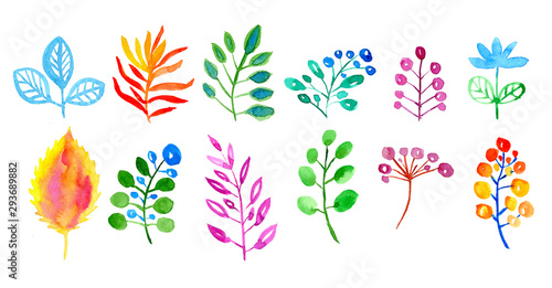 Watercolor leaves set isolated on white background. Hand painted floral illustration.