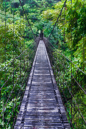 Rope bridge over the damp jungle in Tawain photo