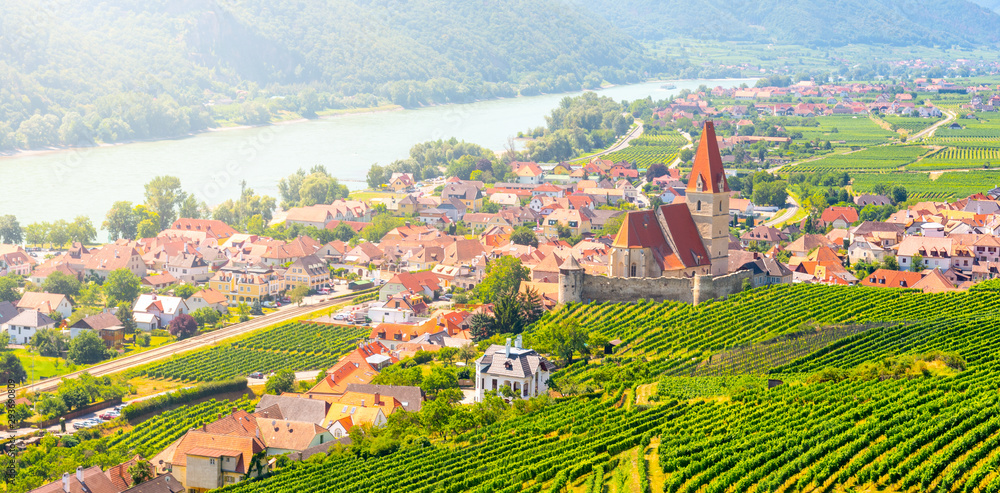 Sunny day in Wachau Valley. Landscape of vineyards and Danube River at Weissenkirchen, Austria
