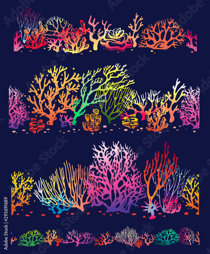 Set of color Corals borders seamless patterns