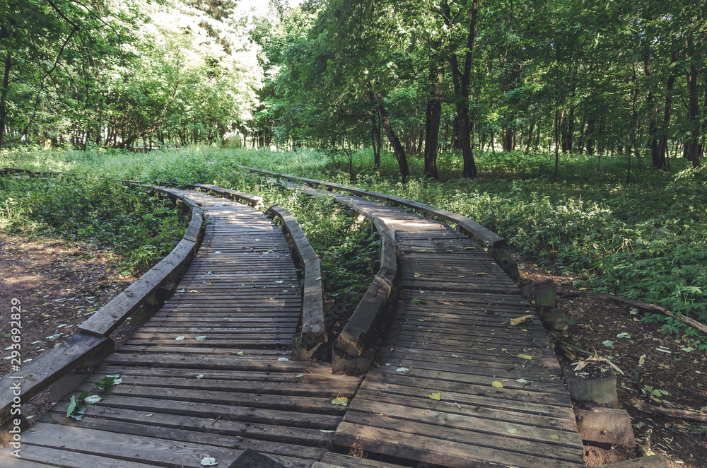 old and broken wooden plank pathway walkway in green summer forest. old and broken wooden plank pathway walkway in green summer forest.