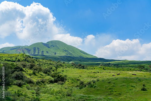 [熊本県]阿蘇・草千里の風景
