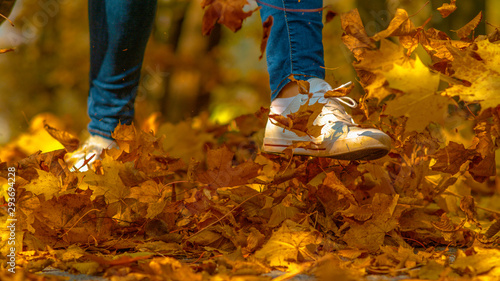Fototapeta Naklejka Na Ścianę i Meble -  CLOSE UP: Playful woman kicking up a pile of colorful dry leaves during a walk