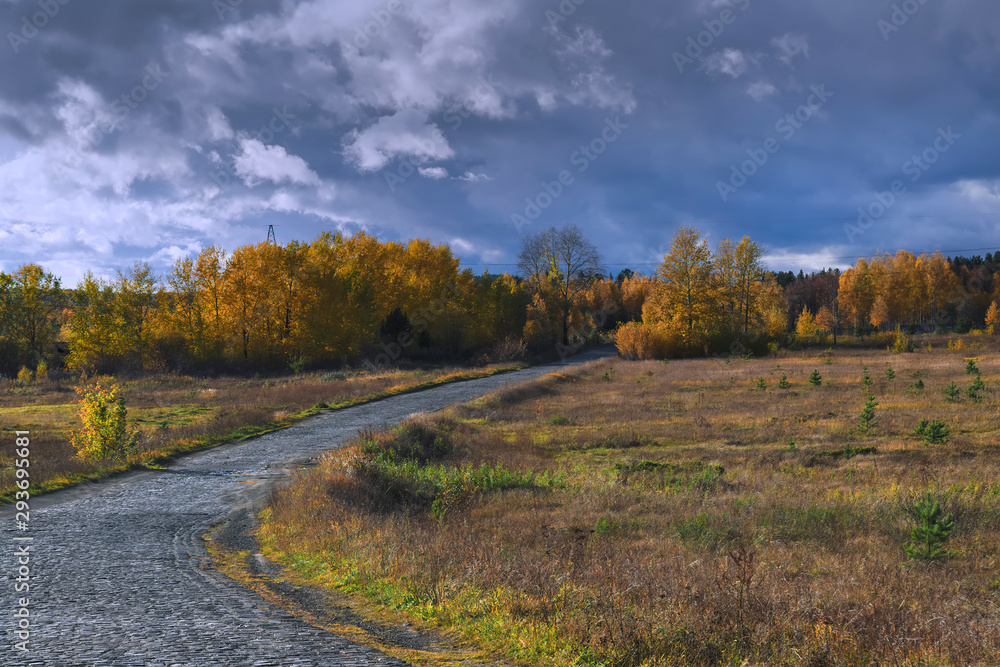 Autumn landscape. A cobblestone road in the middle of an autumn forest.