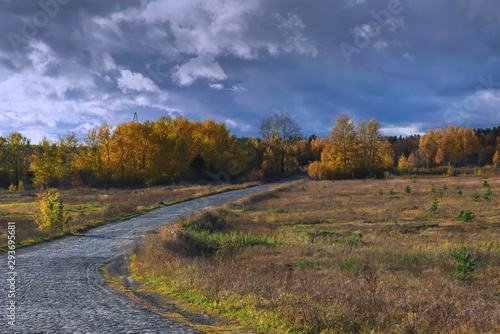 Autumn landscape. A cobblestone road in the middle of an autumn forest.