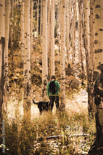 A man and a dog hiking in the autumn woods. 