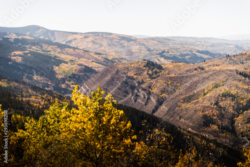 Landscape view of the mountains covered in fall foliage in Vail, Colorado. 