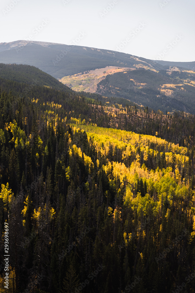 Landscape view of the mountains covered in fall foliage in Vail, Colorado. 