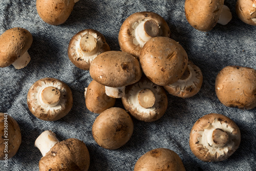 Canvas Print Raw Organic Baby Bella Mushrooms