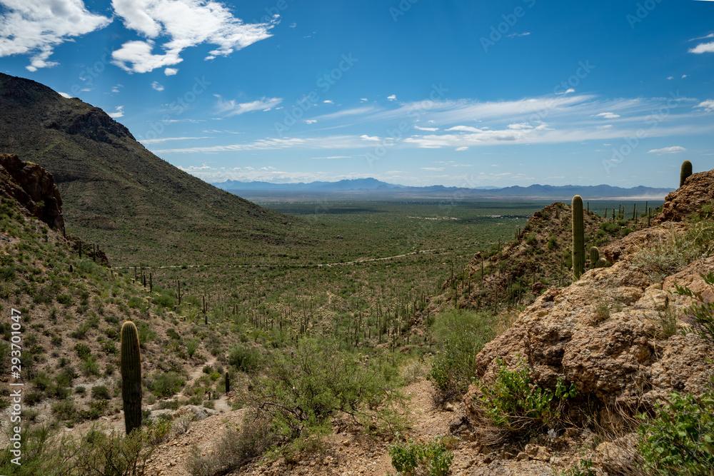 Desert mountains valley and saguaro cactus with blue sky and clouds in Tucson, Arizona