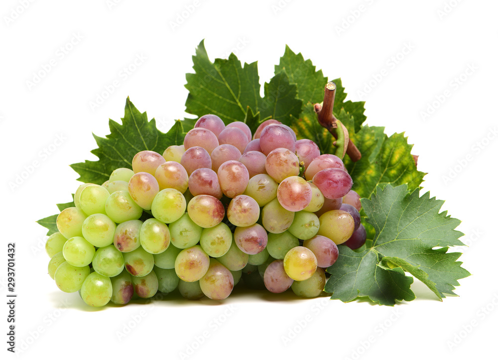 Fototapeta premium Grapes on white background 