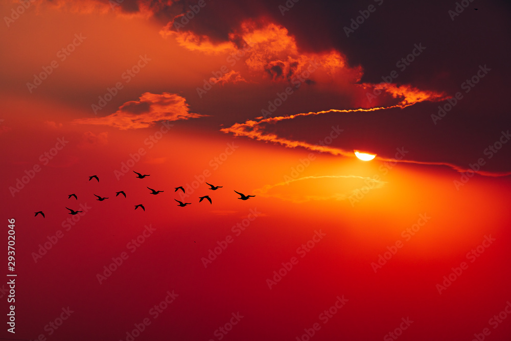 Dramatic Sunset Dramatic Sunset