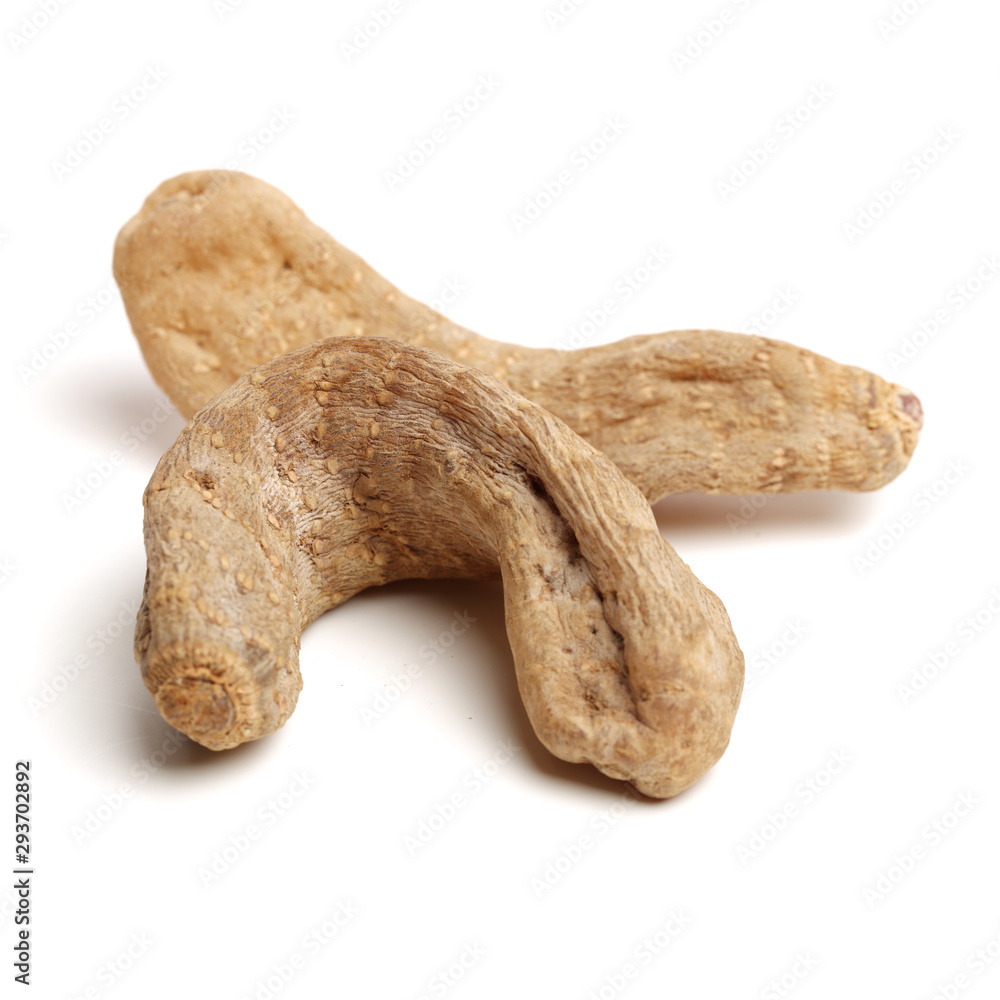 Gastrodia elata on white background Gastrodia elata on white background