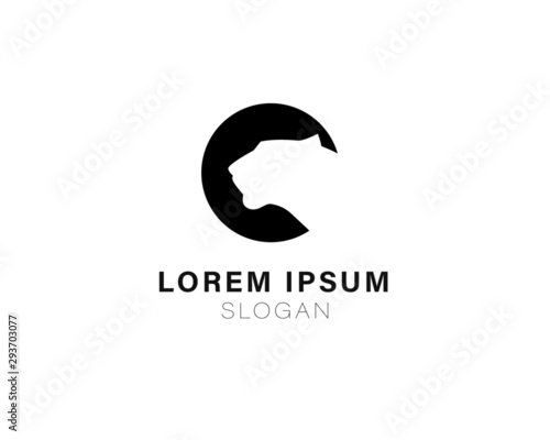  Lion  Puma Panther silhouette logo design