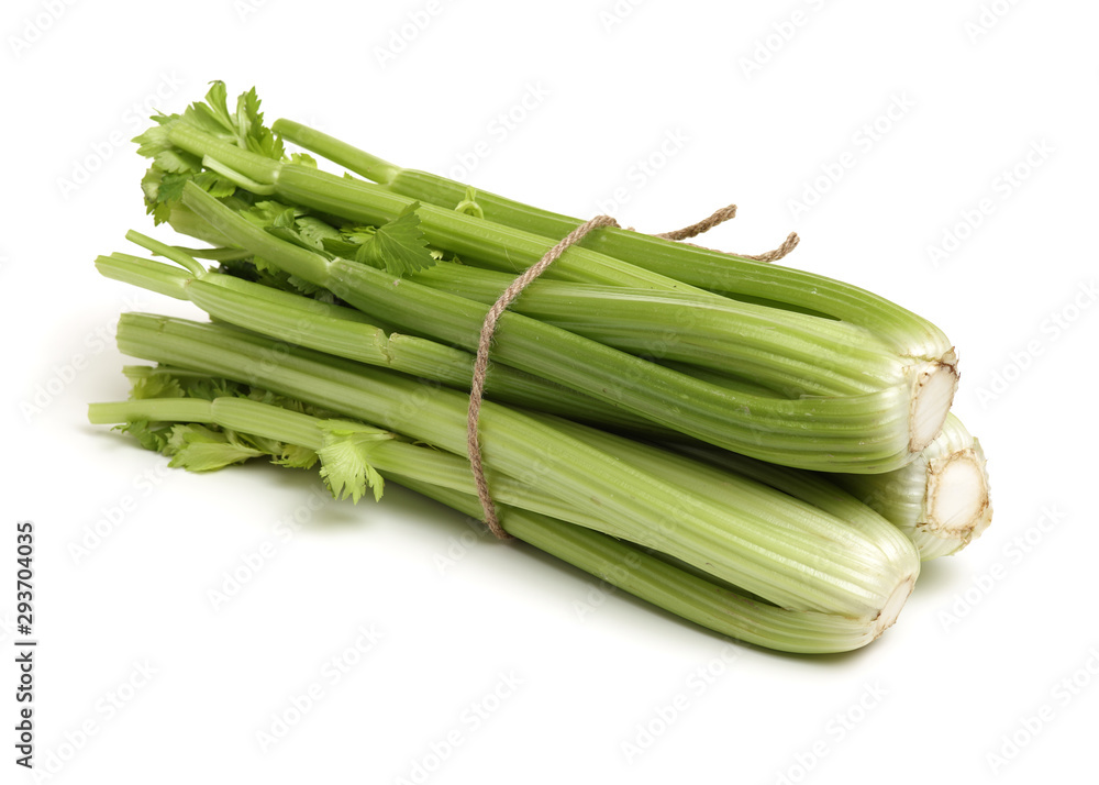 celery on a white background celery on a white background