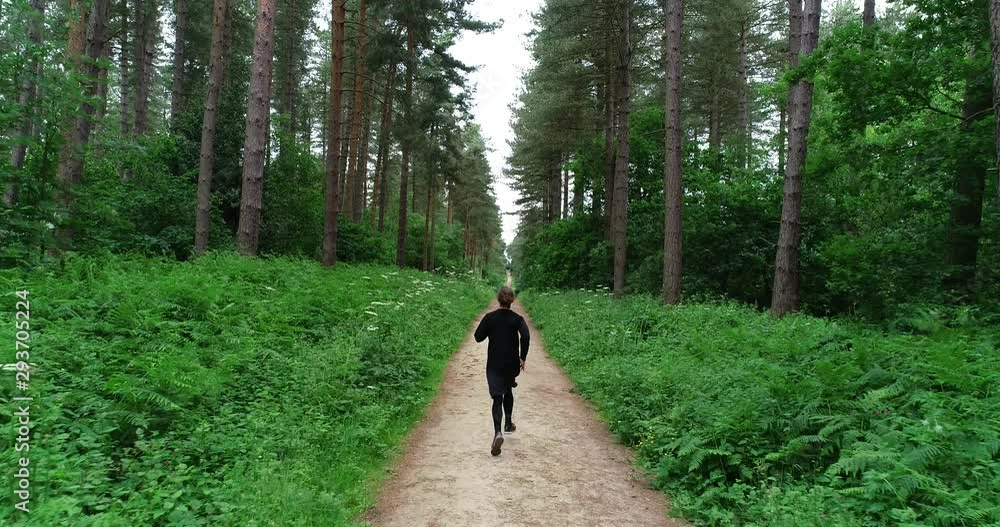 4K Aerial. Man running on Park Path through a Great Green Nature Forest Glade. Dense Tree Lined British Wood Land. A Natural Summer Evening in Great Britain. 4K Aerial. Man running on Park Path through a Great Green Nature Forest Glade. Dense Tree Lined British Wood Land. A Natural Summer Evening in Great Britain.