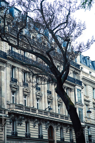 houses on french streets of Paris. citylife concept, black balcony lace