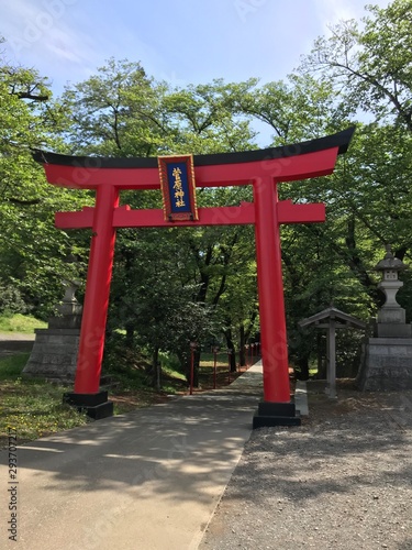 japanese lantern