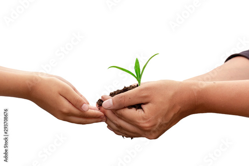 Hands of child and father holding green plant seedling with black fertile soil. Concept of care and protect planet, tree, environment, family and generation love. Image.