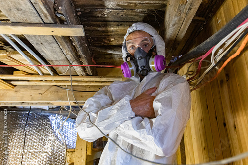 Indoor damp & air quality (IAQ) testing. A serious looking building inspector with folded arms is seen close up, wearing protective clothing, standing beneath floor joists with white wood rot fungi.