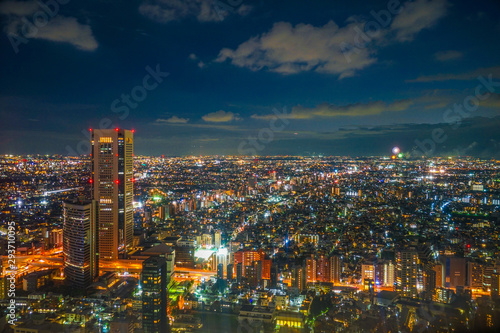 東京都庁展望台から見える調布花火大会 © kanzilyou