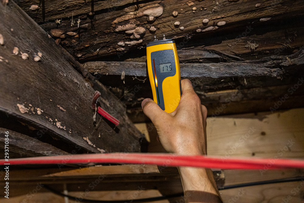 Indoor damp & air quality (IAQ) testing. A closeup view of a man using