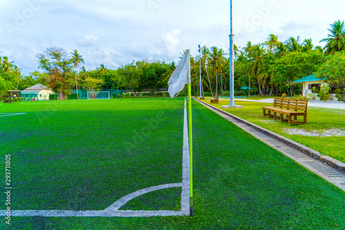 Soccer field, artificial green grass, among a palm forest.