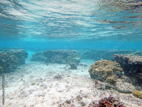 Diving on Guam, coral reef seabed and water surface view from underwater