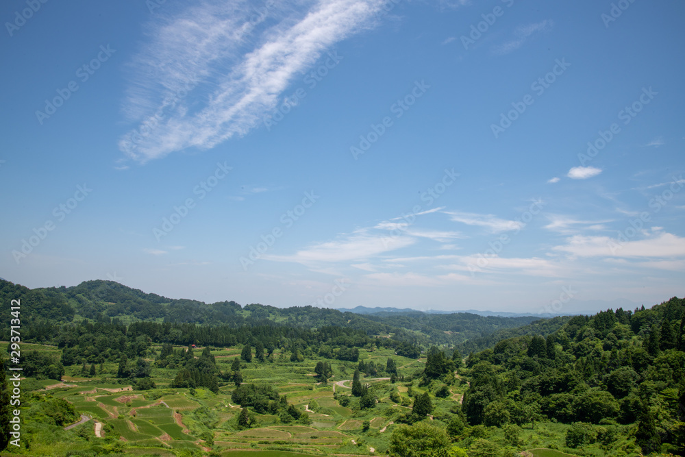 星峠の棚田