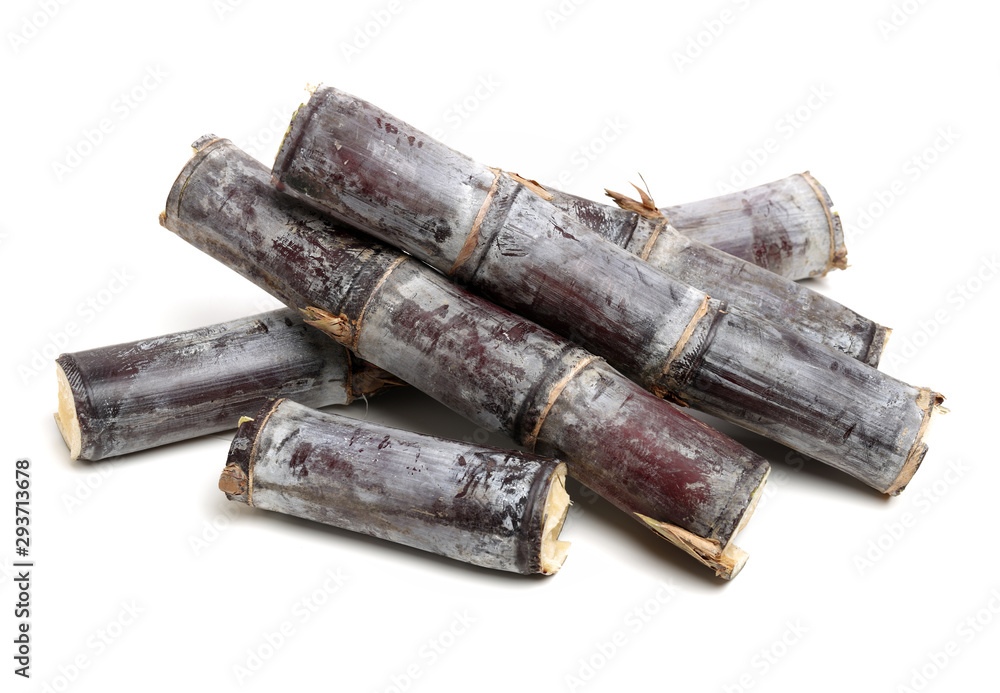 Sugar cane isolated on white background Sugar cane isolated on white background