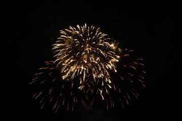 Abstract colored firework background,Fireworks light up the sky