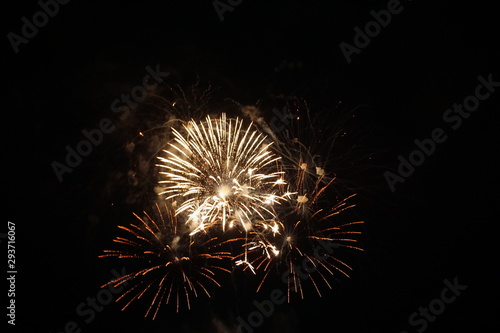 Abstract colored firework background,Fireworks light up the sky