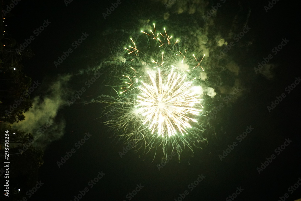 Fototapeta premium Abstract colored firework background,Fireworks light up the sky