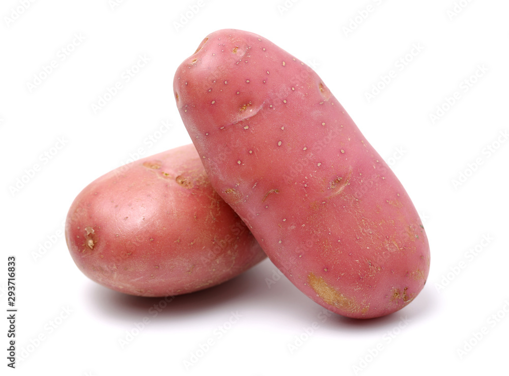 New red potato isolated on white background New red potato isolated on white background