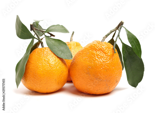 ugly tangerine on a white background 