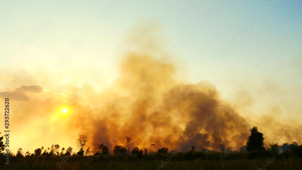 Smoke floating in the air caused by grasses burning. Smoke floating in the air caused by grasses burning.