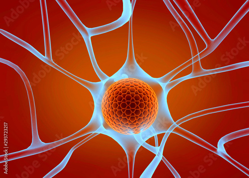 nerve cell. 3d render.