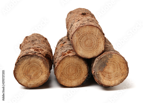 Pine logs on white background