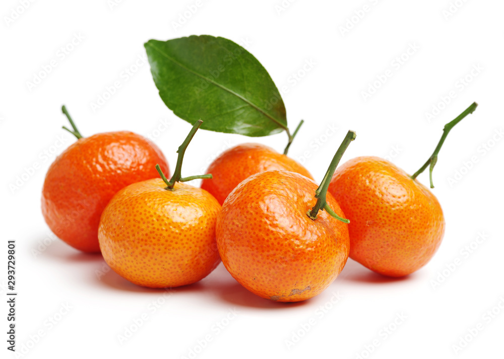 tangerine orange on white background tangerine orange on white background