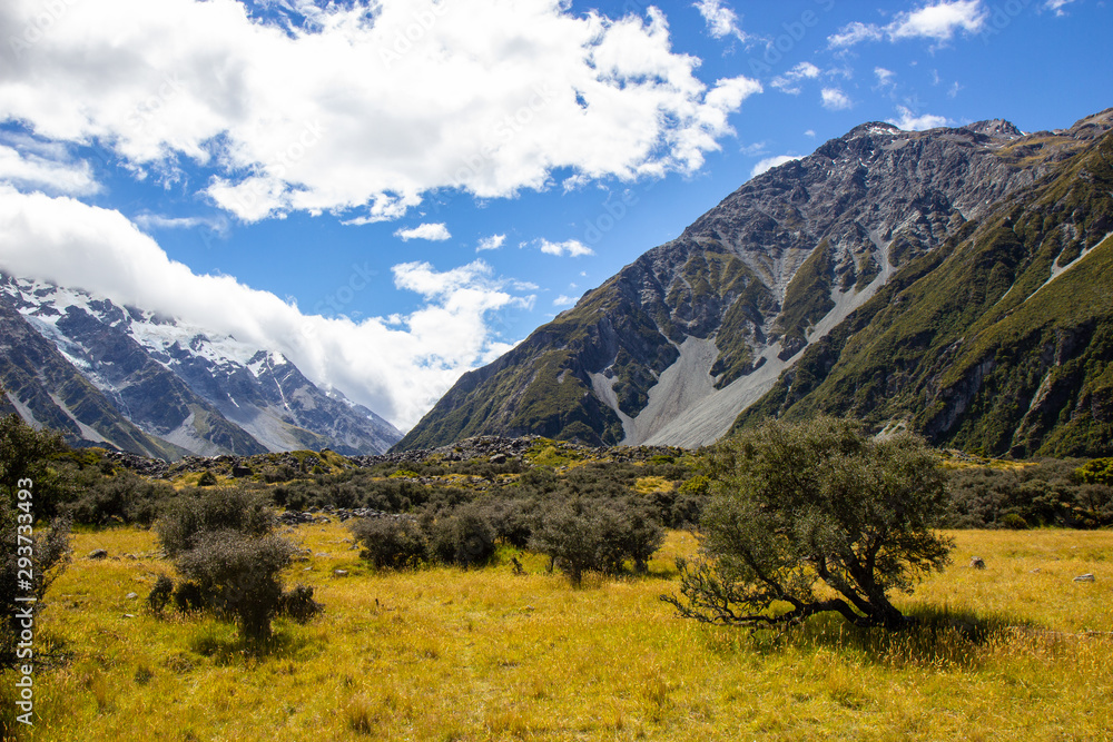 view of the valley at Mount Cook national park