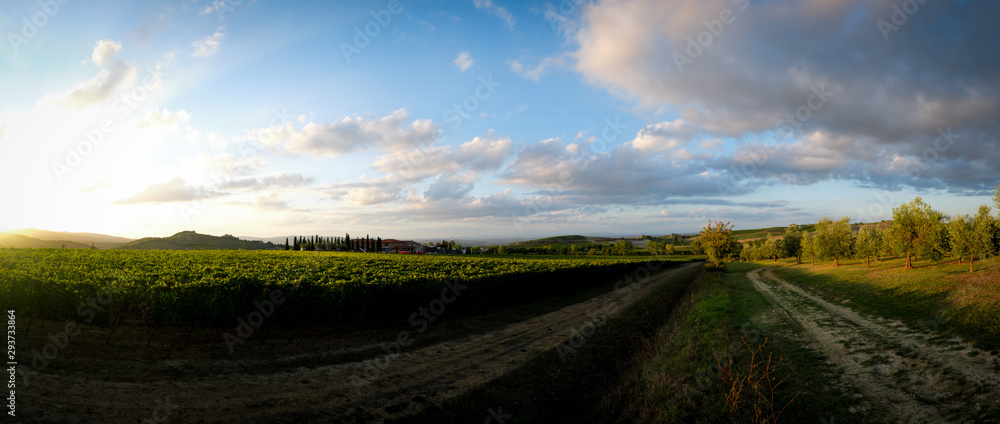 Fototapeta premium landscape in tuscany tuscan italy hill hills in autumn 