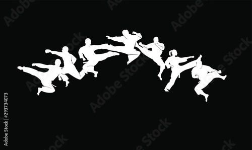 karate silhouette illustration vector template