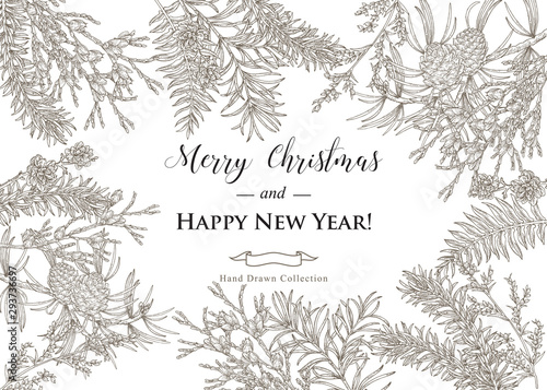 Christmas card design. Hand drawn winter plants and trees. Cedar, cypress, spruse, fir and pine branches. Vector illustration vintage.