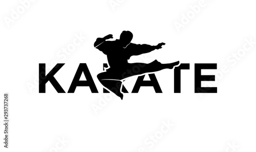 karate silhouette illustration vector template