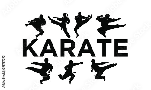 karate silhouette illustration vector template